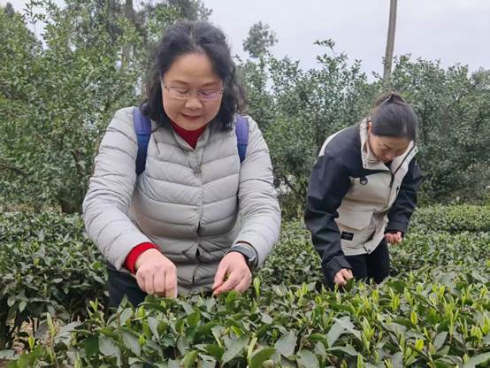 树林前的花园里有一些人 AI 生成的内容可能不正确。